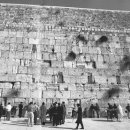 [성서의 풍속] 53. 유다인의 성지, 통곡의 벽 이미지