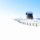 양대목장 이미지