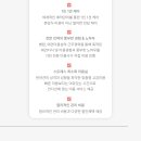 온니애견미용 이미지