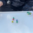 젤렌 | 4월 진해 군항제데이트 벚꽃데이트ㅣ야시장 부스 팝업 후기