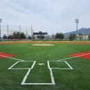 백석생활체육공원 야구장 이미지