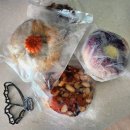 손골공원 | 11월 5째주(울산혼놀)