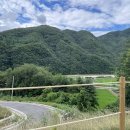 필리가 캠핑 이미지