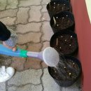 추곡초등학교 이미지