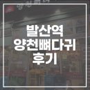 🥘 발산역 감자탕 맛집, 양천뼈다귀 발산점 솔직 방문 후기