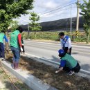 송학마을 이미지