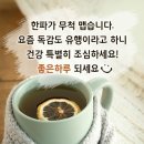 세계화석광물박물관 이미지