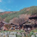 정선황토펜션1 이미지