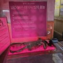효소욕휴 | [대구효소찜질]전국1등 24년 운영한 수성구 찜질 엘리스효소찜질