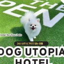 도그유토피아 이미지