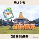 예천문화사업단 | 2026 7월 청춘 템플스테이 뜻 신청 예약 꿀팁 3만원 할인 1박 2일 여행