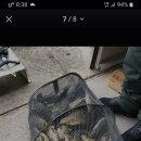 산외 강현낚시터 이미지