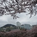 행복직물 티스토리