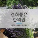 내동경희한의원 네이버블로그