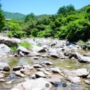 (주)내린천환경