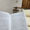 어오내감성숙소커플가족독채펜션 | 제주도 독채 펜션 달뷰스테이 제주 감성 숙소 (자쿠지, 바베큐)