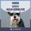 고척원동물의료센터 이미지
