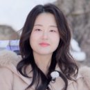 법률사무소다반