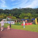 댕댕놀이터 이미지