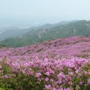 월산초등학교 운동장 이미지