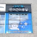 크리스탈 반려견미용실 이미지