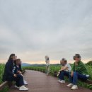 순천만별빛펜션 | 순천만습지 입장료 주차요금 용산전망대까지 둘러보기