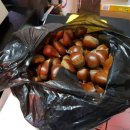 창조목장 이미지