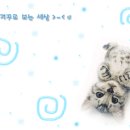 이야옹 이미지
