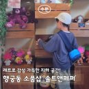 딜라이트 주식회사 수원점 | [수원 행궁동] 레트로 감성 가득! 지하 소품샵 '솔트앤페퍼'(볼꾸도 있어요!)