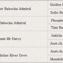 스테이 모량 이미지