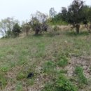 남해-173 이미지