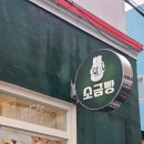 한샘키친제주인제 | 제주도 빵지순례, 아기랑 가기 좋은 소금빵 맛집 카페 코너웍