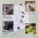 국립공원야생생물보전원 중부보전센터 이미지