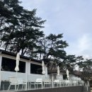 감스테이 | 전남 담양 감성숙소 추천 까망감스테이1 4번방 내돈내산 솔직후기