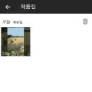 비바비디오 이미지