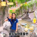 (주)트리플에이게임즈 | 인천 송도 실내 놀거리 동물원 테이블에이 먹이주기 체험과 가격