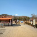 뛰뛰 강아지 놀이터 이미지