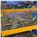 청춘수산 이미지