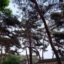 모산 근린 광장 이미지