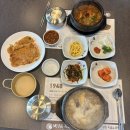 상황버섯삼계탕 | 진천흑염소 향촌흑염소 진천혁신도시점 얼큰염소탕 &amp; 상황버섯 삼계탕 후기