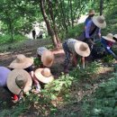 열차와 하루 이미지