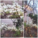 솔로몬 도서관 이미지