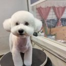 유스타 그루밍 이미지