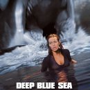 see more sea C 이미지