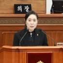 창원 다호리고분군 이미지