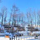 품실채마을 이미지