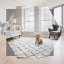 행복펫메이트 | 금천구 골든두들분양 우리 집 펫 메이트 찾는 완벽 가이드