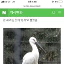 백로사우나 이미지