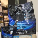 웰니스클리닉동물병원 이미지