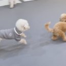 츠바오(고덕점) 이미지